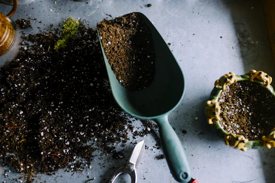 Chia and flax seeds measured into a scoop