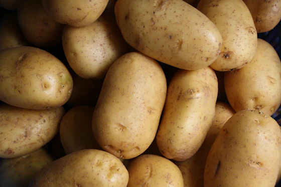 A close crop of raw potatoes